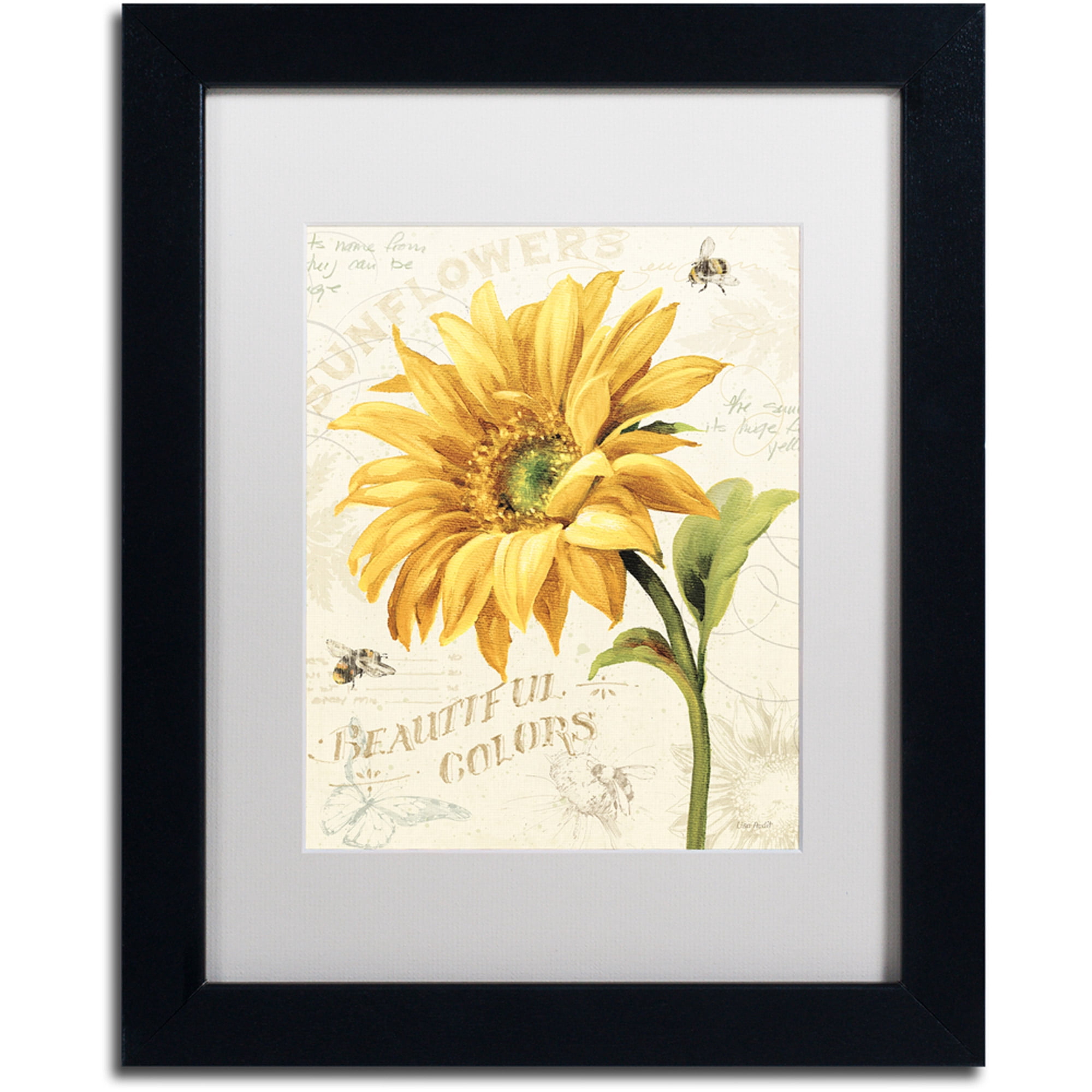 Trademark Fine Art Lisa Audit 'Under the Sun II' 16 x 20 Framed Art Print (WAP0222-B1620MF)
