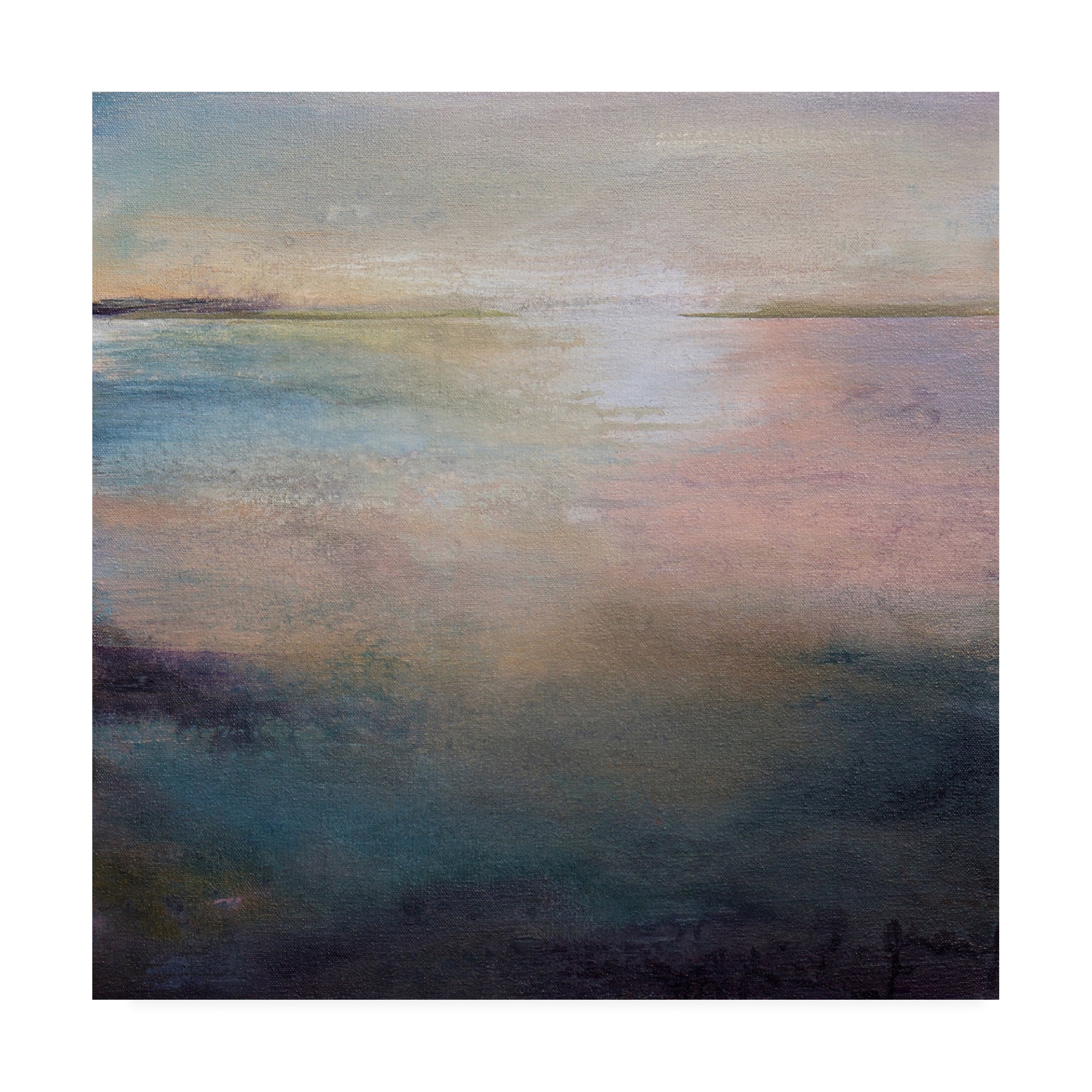 Trademark Fine Art 'Listen To The Silence Abstract' Canvas Art by Karen Hal