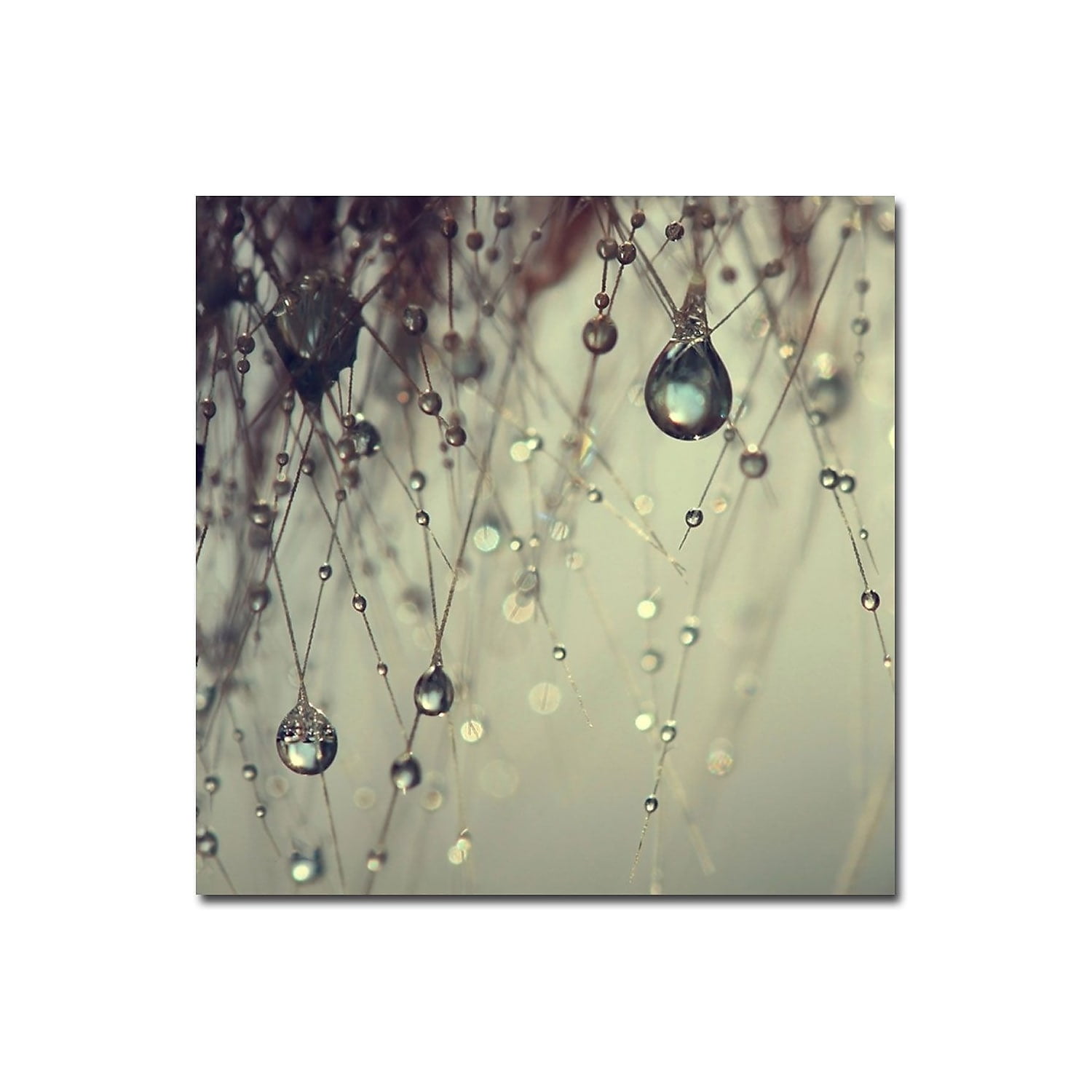 Trademark Fine Art "Little Adventures" Canvas Art by Beata Czyzowska Young