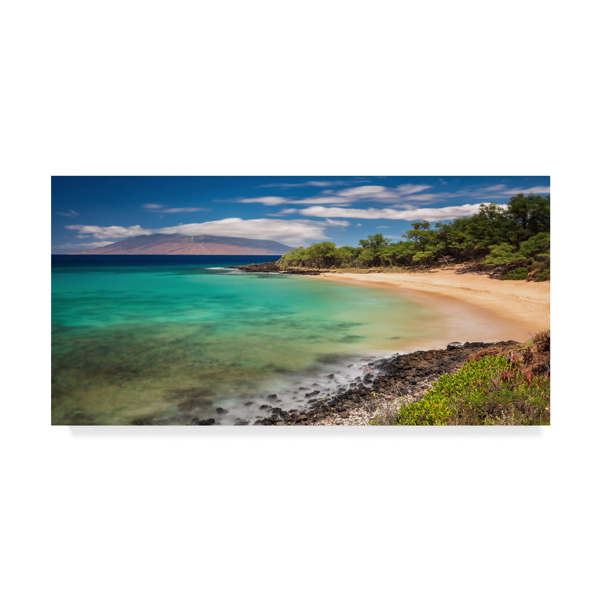 Pierre Leclerc Turquoise Waves Landscape Canvas Art, 16" x 32"