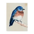 thumbnail image 1 of Trademark Fine Art 'Little Bird on Branch I' Canvas Art by Jennifer Paxton Parker, 1 of 4