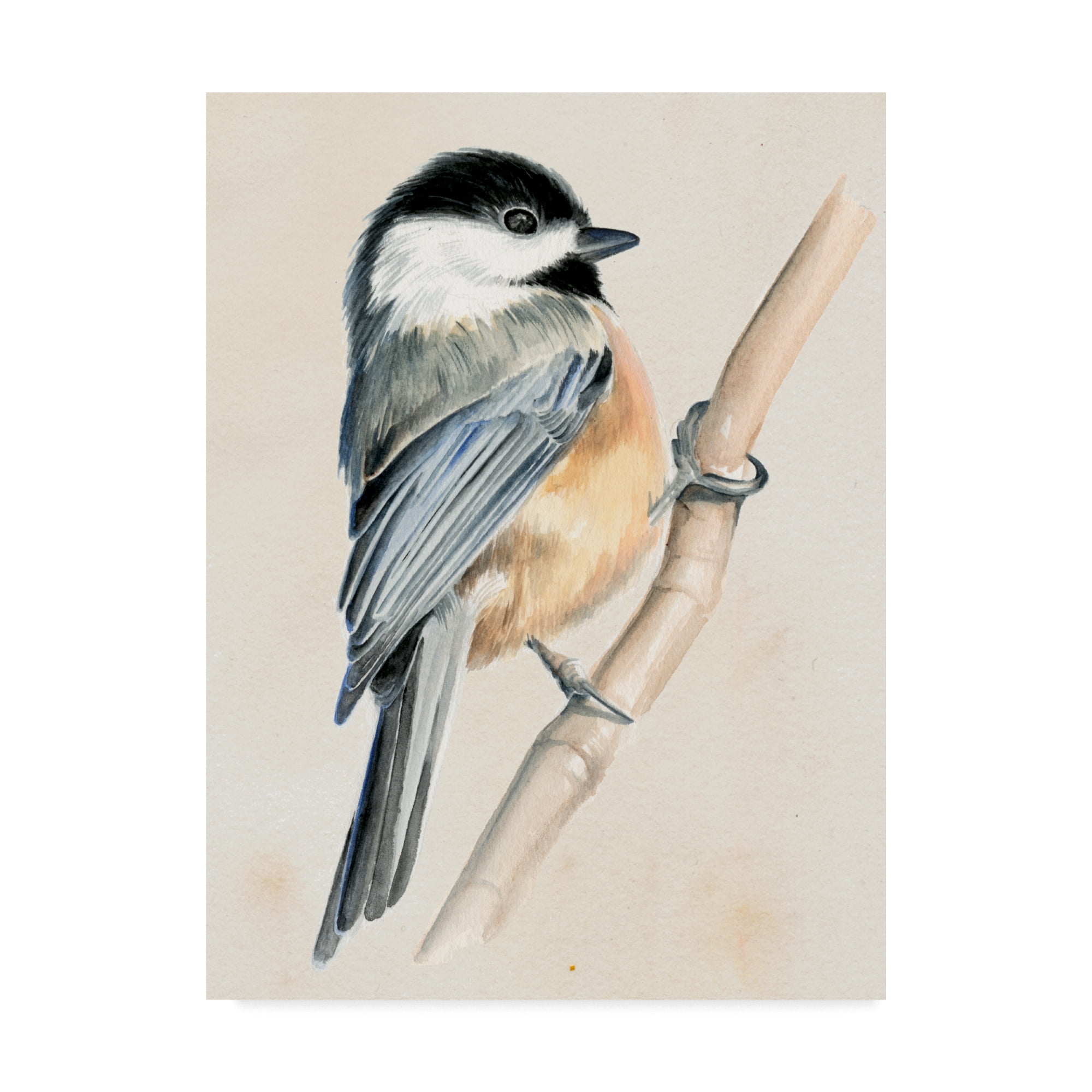 Gray and Yellow Bird on Branch Canvas Art