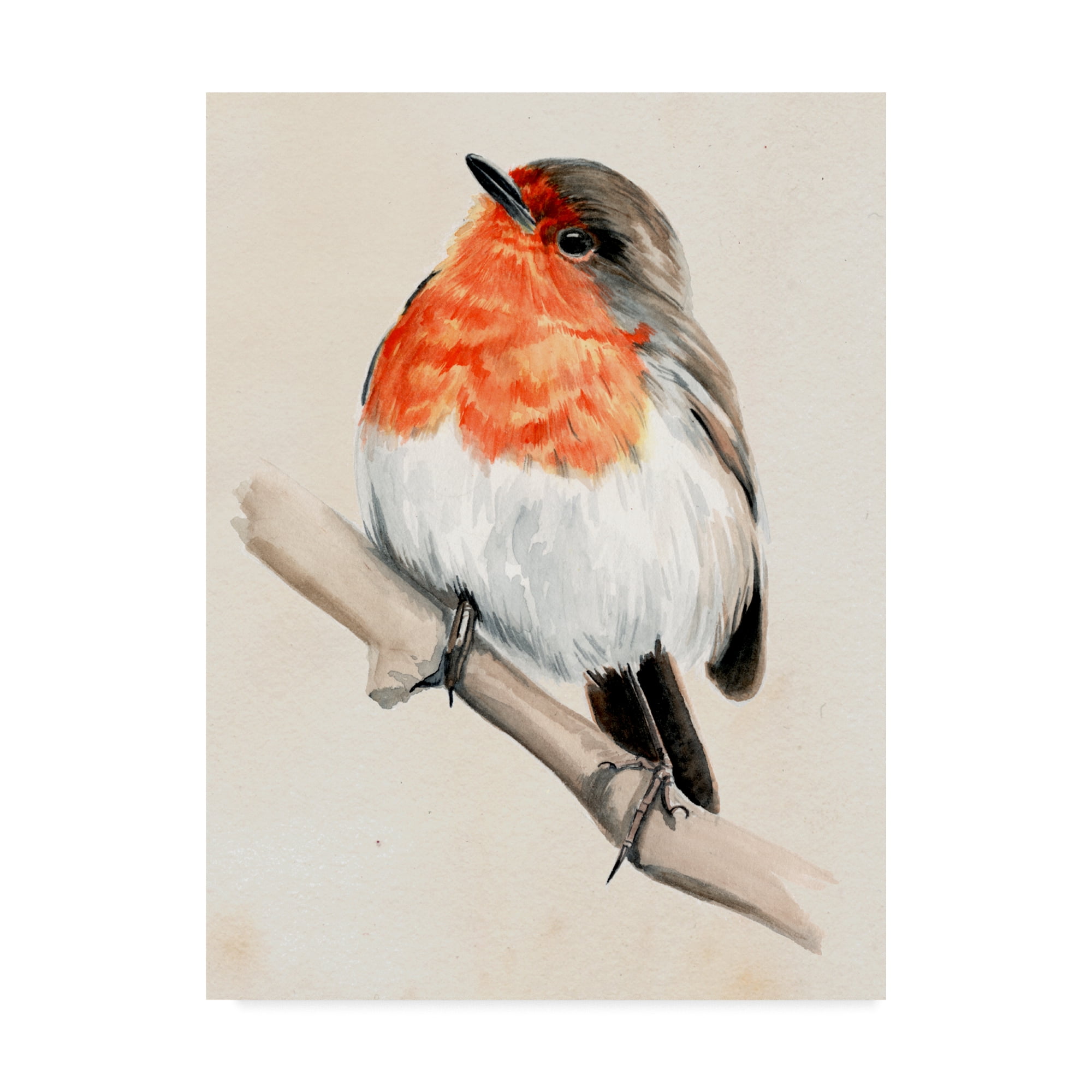 Orange and Black Bird on Branch Canvas Art, 24x32