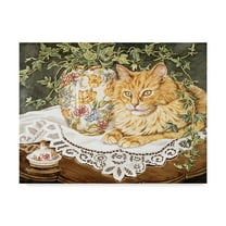 Trademark Fine Art 'Little Lion' Canvas Art by Jan Benz