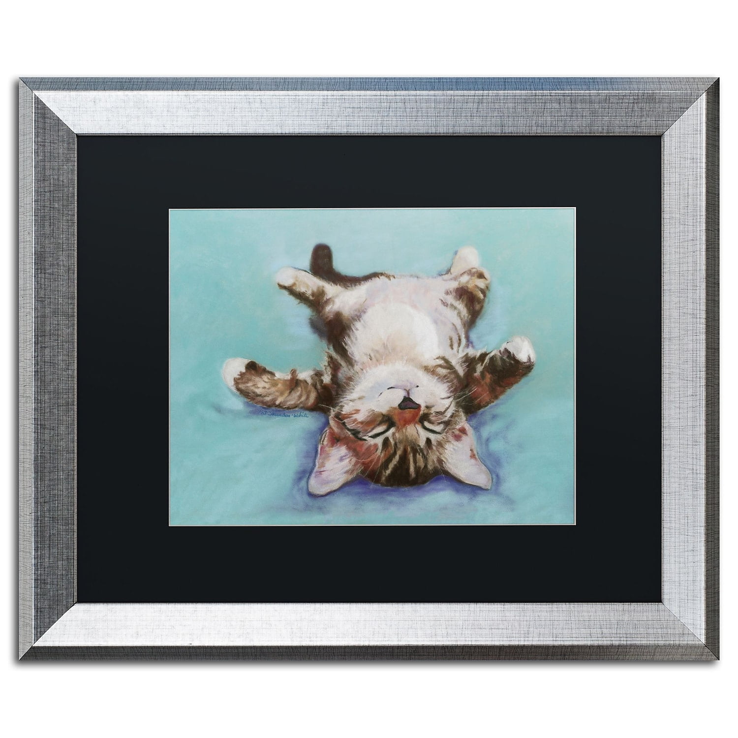 Trademark Fine Art "Little Napper" Canvas Art by Pat Saunders-White Black Matte, Silver Frame
