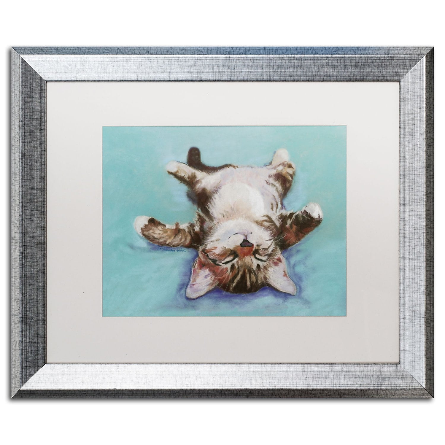 Trademark Fine Art "Little Napper" Canvas Art by Pat Saunders-White White Matte, Silver Frame