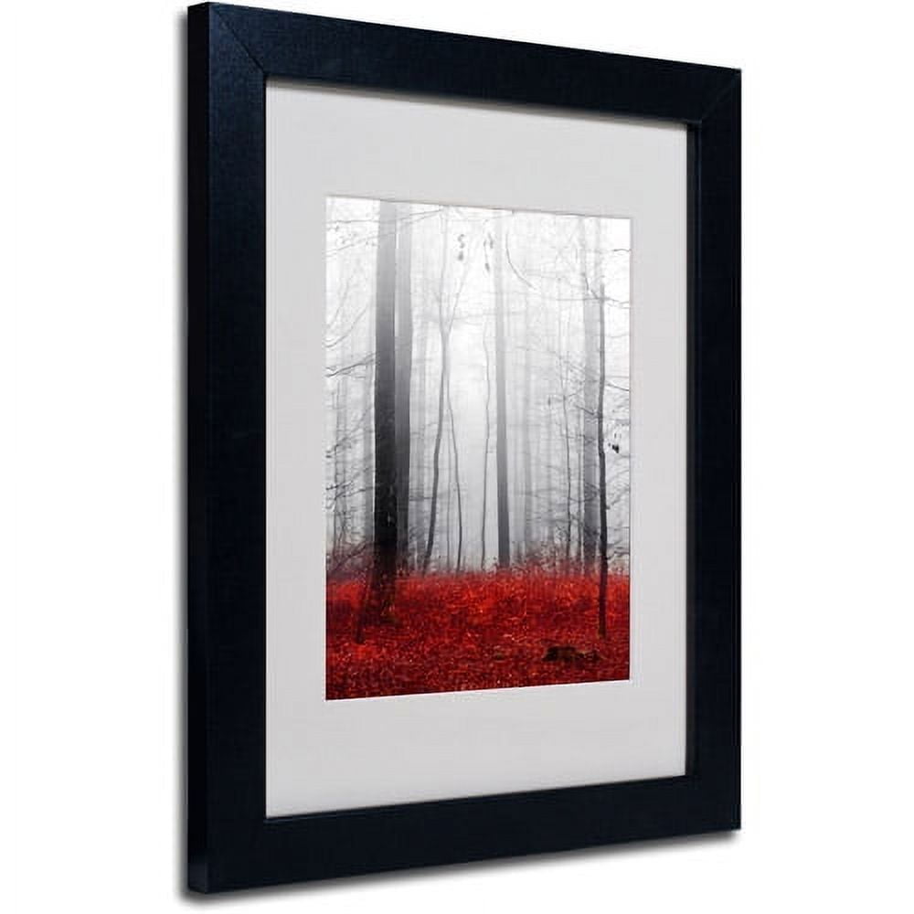 Little Red Carpet Black Framed Canvas Wall Art, 18x24