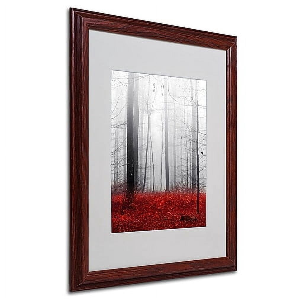 Trademark Fine Art "Little Red Carpet" Canvas Art by Philippe Sainte-Laudy, Wood Frame