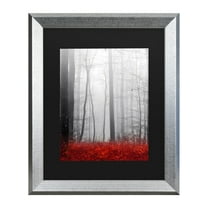 Trademark Fine Art 'Little Red Carpet' Canvas Art by Philippe Sainte-Laudy