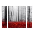 thumbnail image 1 of Trademark Fine Art 'Little Red Carpet' Canvas Art by Philippe Sainte-Laudy, 1 of 3