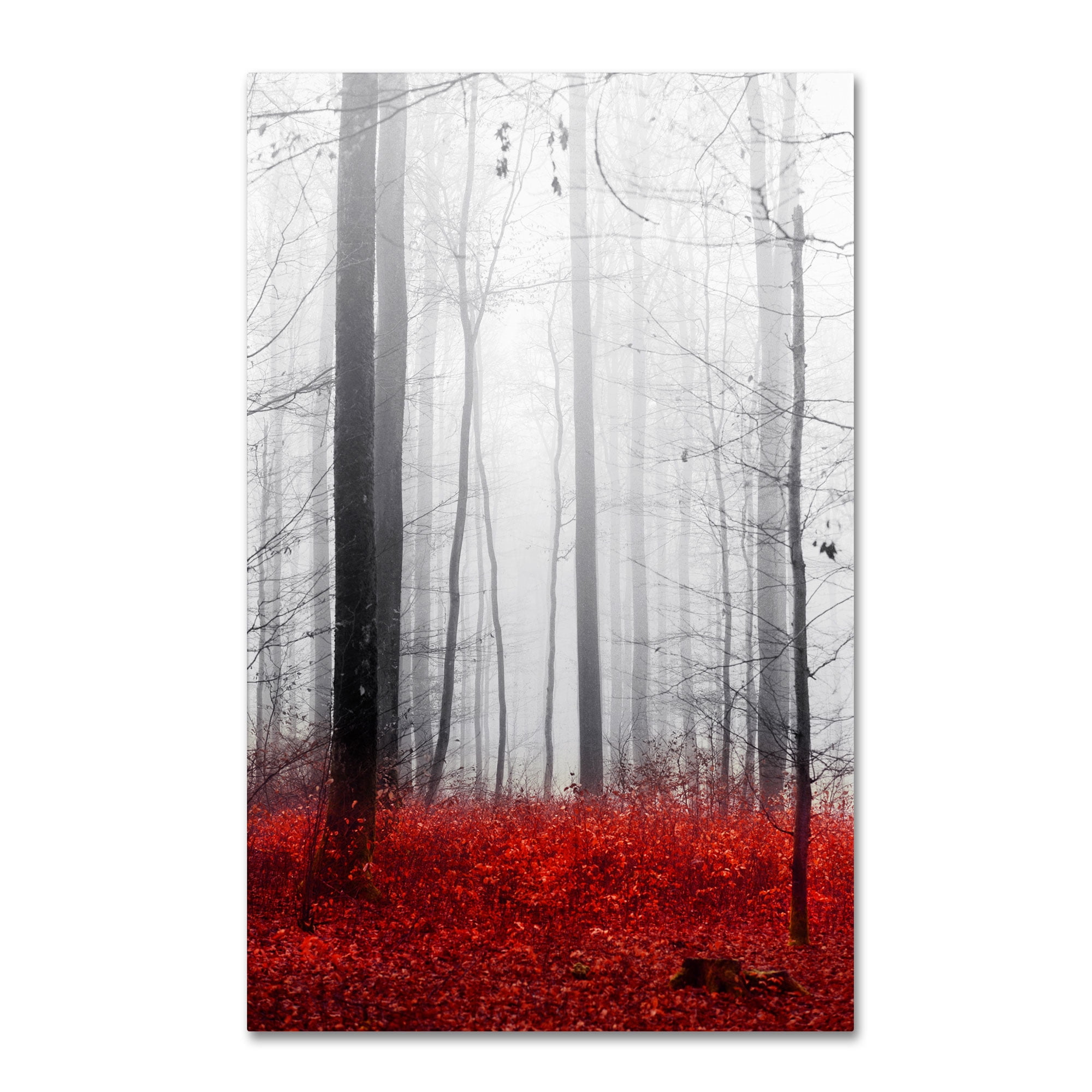 Trademark Fine Art "Little Red Carpet" Canvas Art by Philippe Sainte-Laudy