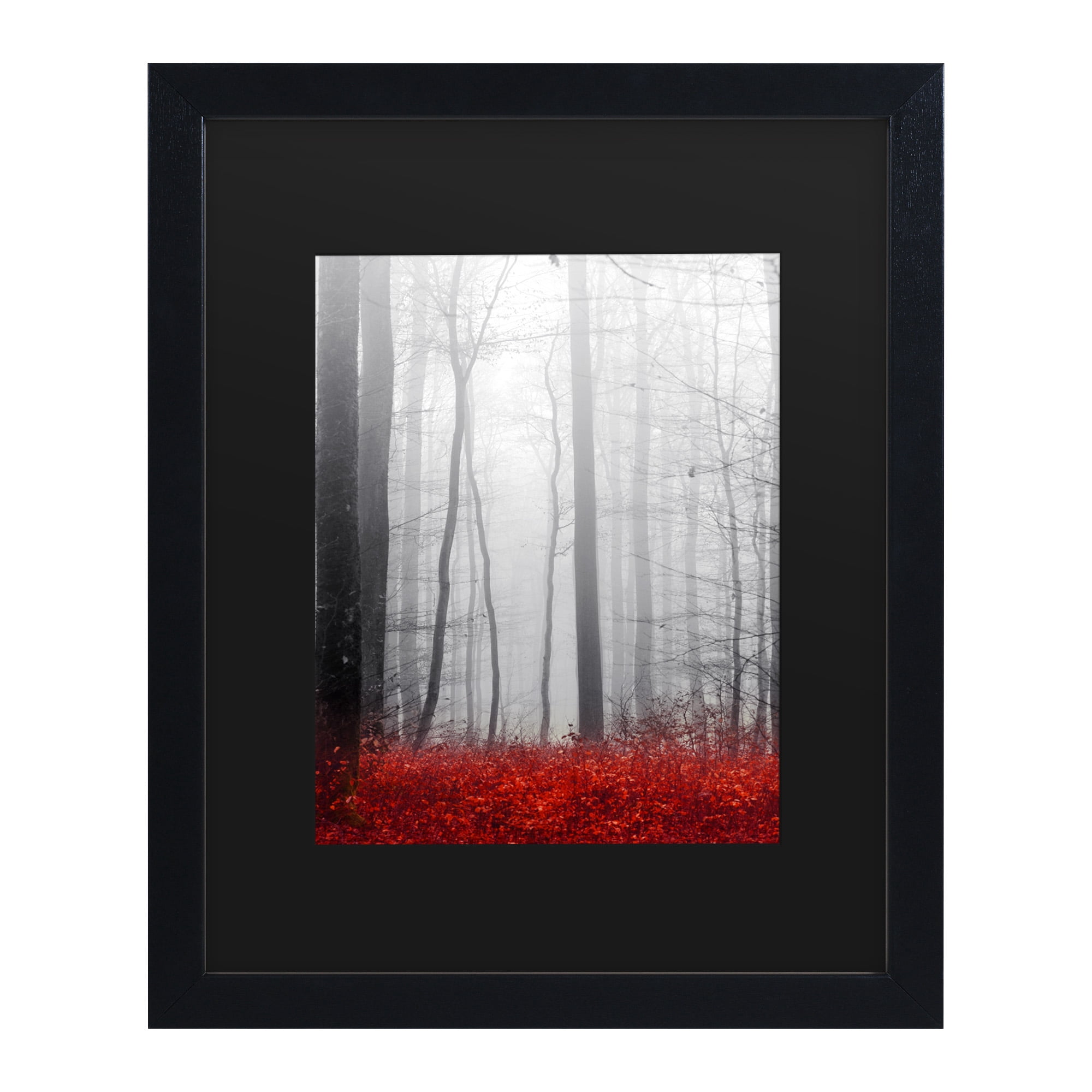 Trademark Fine Art 'Little Red Carpet' Canvas Art by Philippe Sainte-Laudy