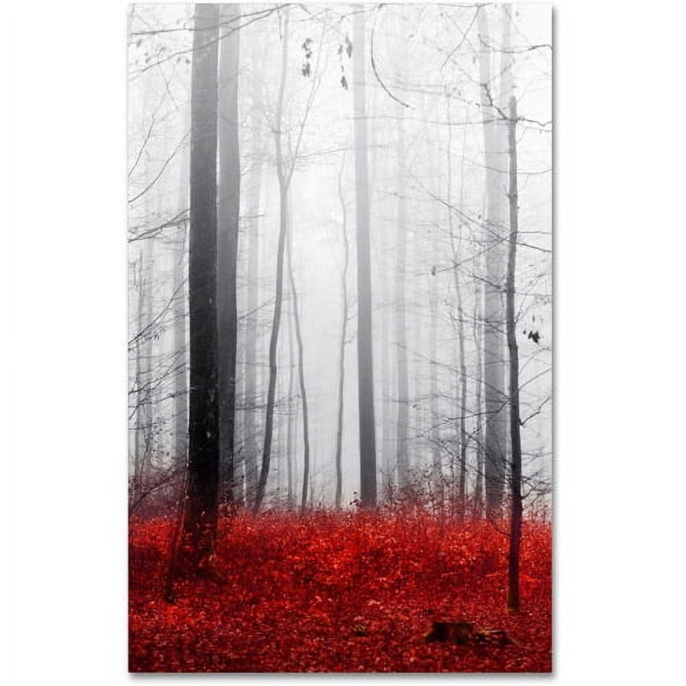 Trademark Fine Art "Little Red Carpet" Canvas Art by Philippe Sainte-Laudy