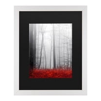 Trademark Fine Art 'Little Red Carpet' Canvas Art by Philippe Sainte-Laudy