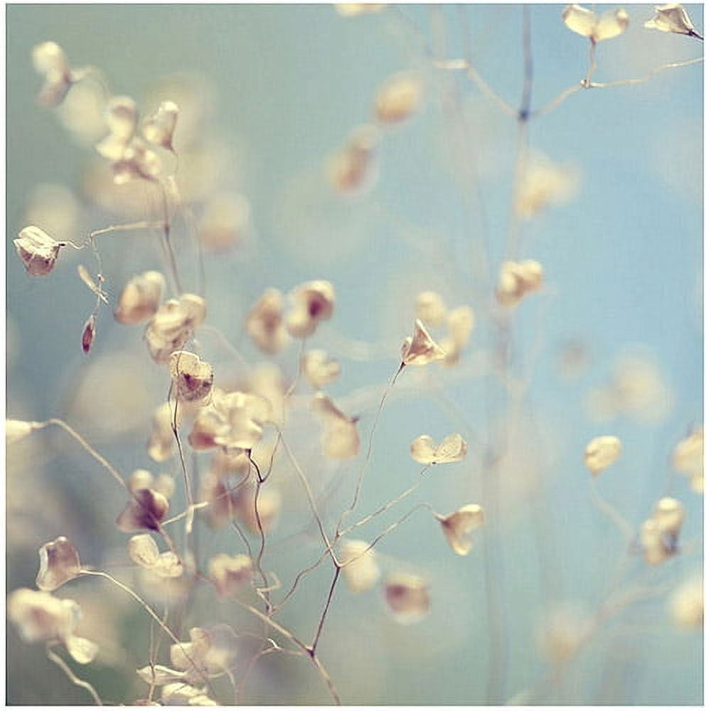 Trademark Fine Art "Little Secrets" Canvas Art by Beata Czyzowska