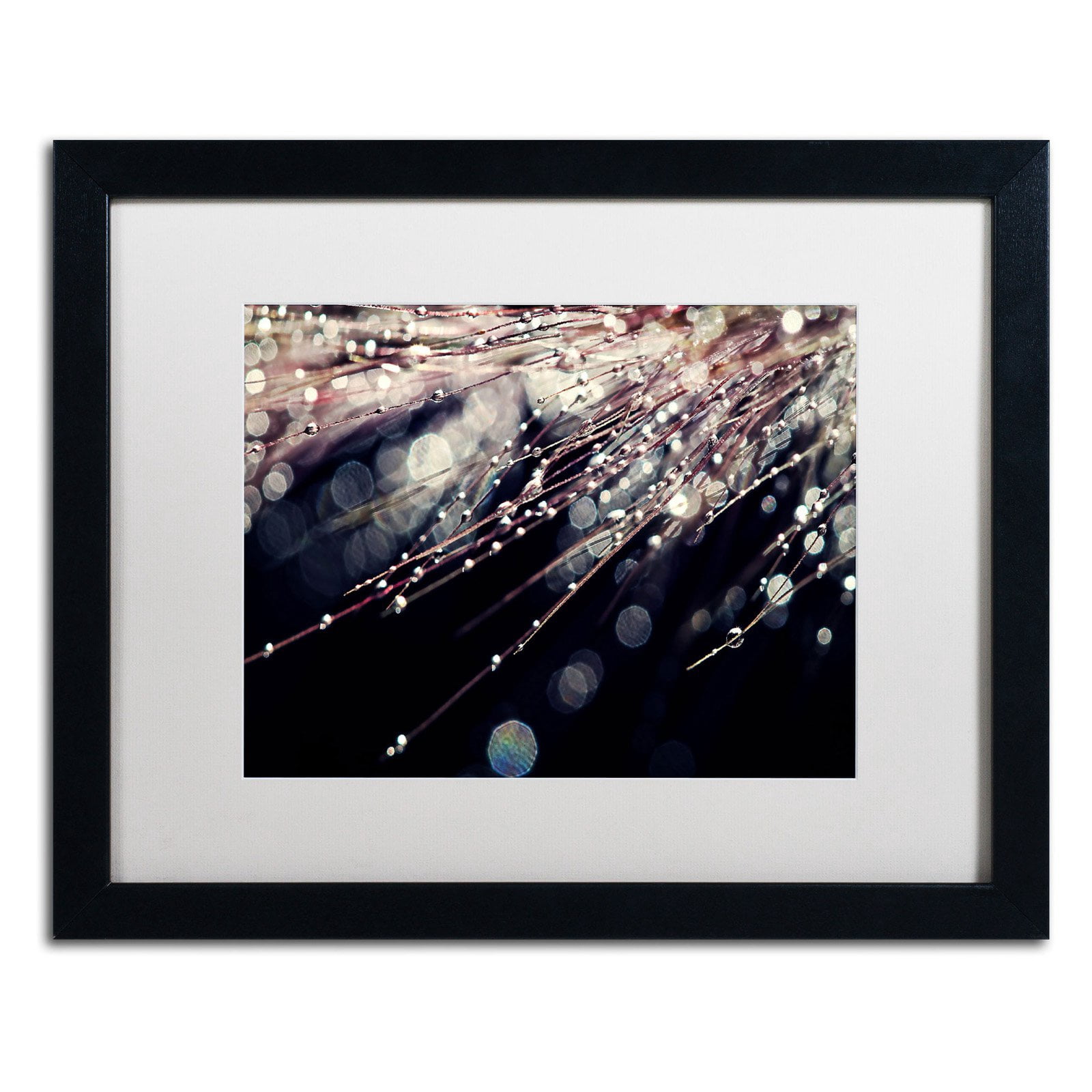 Trademark Fine Art "Little Wonders" Canvas Art by Beata Czyzowska Young, White Matte, Black Frame