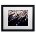 thumbnail image 1 of Trademark Fine Art "Little Wonders" Canvas Art by Beata Czyzowska Young, White Matte, Black Frame, 1 of 4