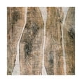 thumbnail image 1 of Trademark Fine Art 'Live Edge III' Canvas Art by John Butler, 1 of 4