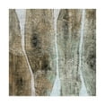 thumbnail image 1 of Trademark Fine Art 'Live Edge IV' Canvas Art by John Butler, 1 of 4