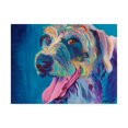 thumbnail image 1 of Trademark Fine Art 'Lizzy' Canvas Art by DawgArt, 1 of 3