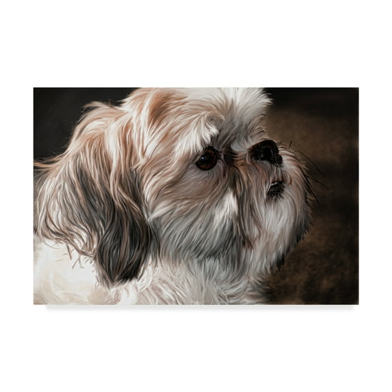 Trademark Fine Art 'Llahso Apso' Canvas Art by Lori Hutchison