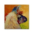 thumbnail image 1 of Trademark Fine Art 'Llama II' Canvas Art by Marion Rose, 1 of 3