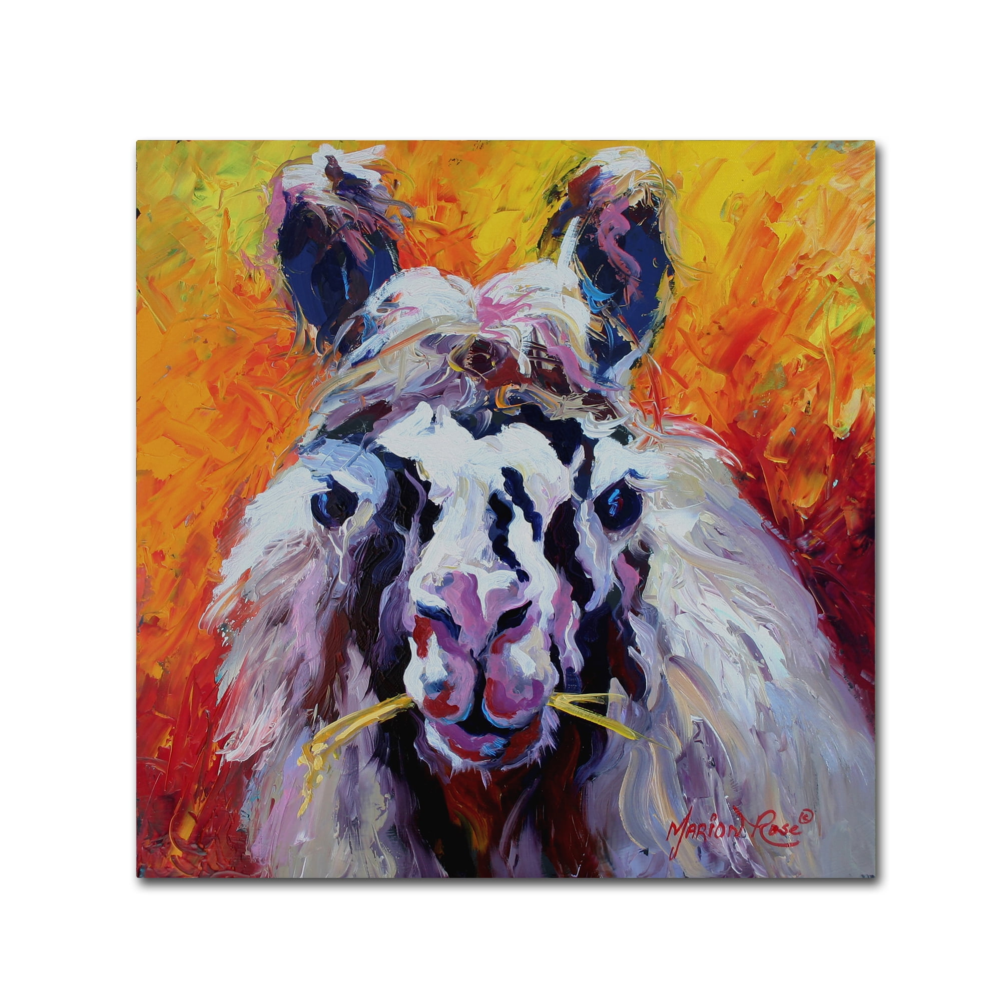 Trademark Fine Art 'Llama III' Canvas Art by Marion Rose