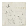 thumbnail image 1 of Trademark Fine Art 'Llama Land X' Canvas Art by Avery Tillmon, 1 of 3