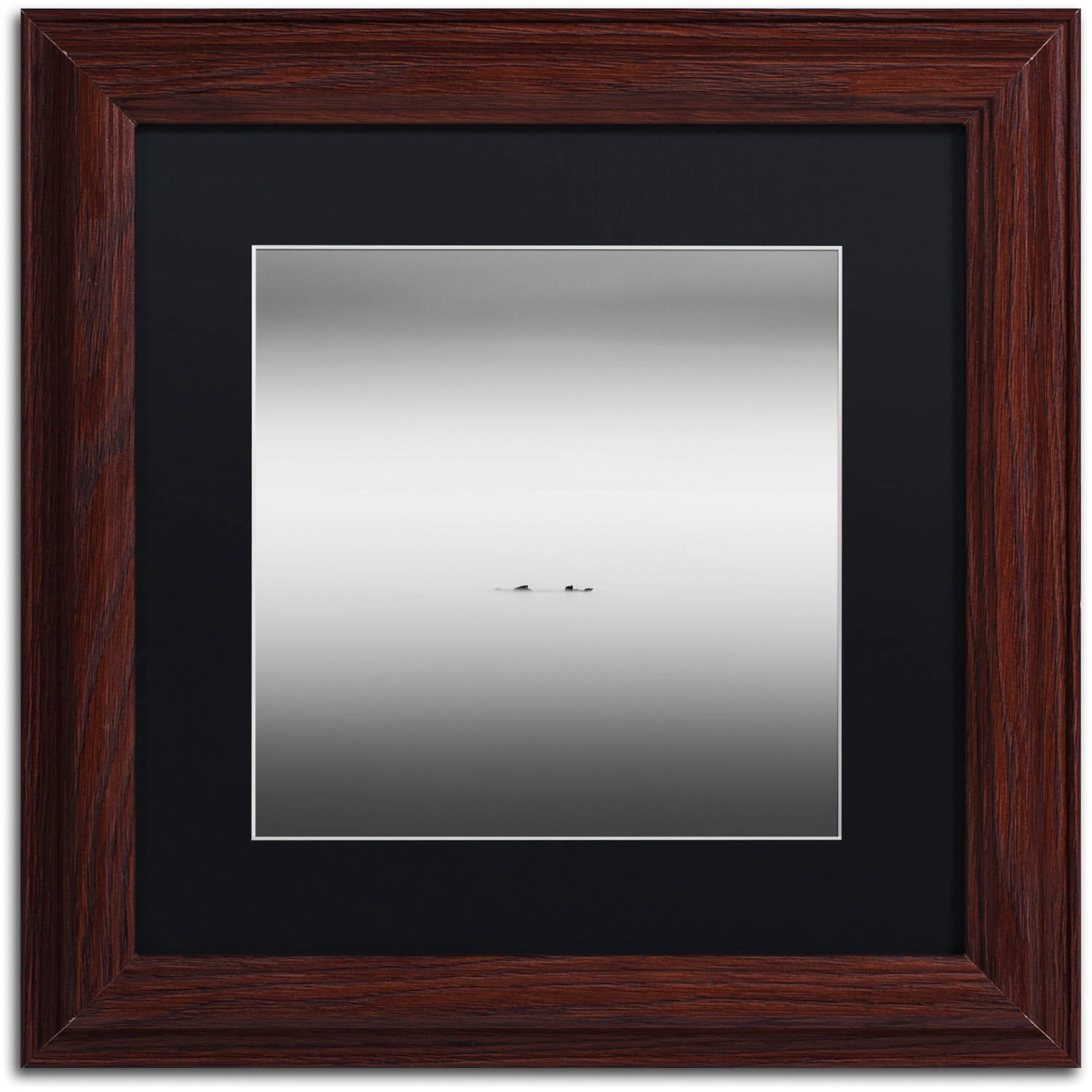 Trademark Fine Art "Loch Ness" Canvas Art by Dave MacVicar, Black Matte, Wood Frame