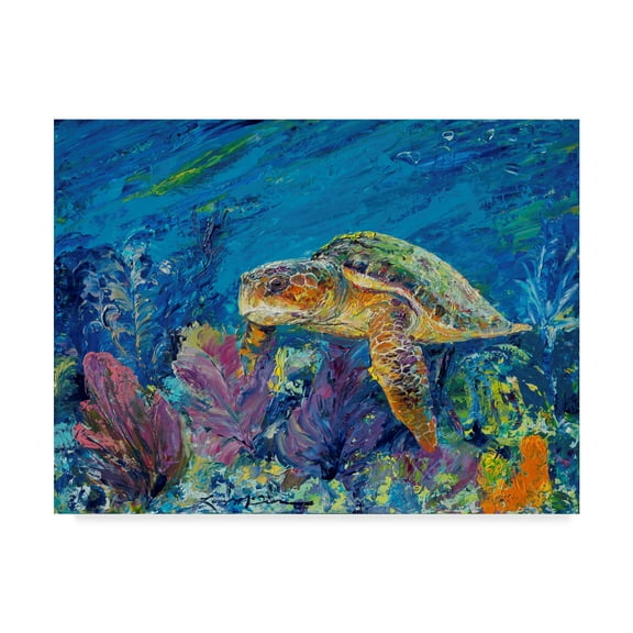 Trademark Fine Art 'Loggerhead Turtle' Canvas Art by Lucy P. Mctier