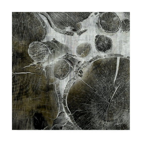 Trademark Fine Art 'Logging III' Canvas Art by John Butler