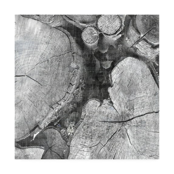 Trademark Fine Art 'Logging Light I' Canvas Art by John Butler