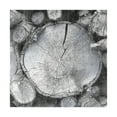 thumbnail image 1 of Trademark Fine Art 'Logging Light VI' Canvas Art by John Butler, 1 of 3