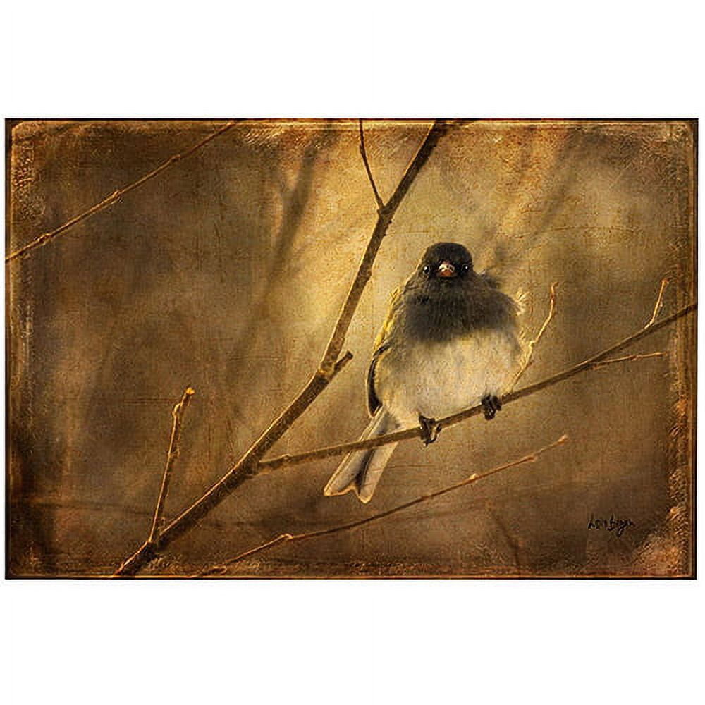Trademark Fine Art Lois Bryan 'Backlit Birdie Being Buffeted' Canvas Art 22x32 Inches
