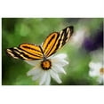 thumbnail image 1 of Trademark Fine Art Lois Bryan 'Delicate Balance' Canvas Art 22x32 Inches, 1 of 1