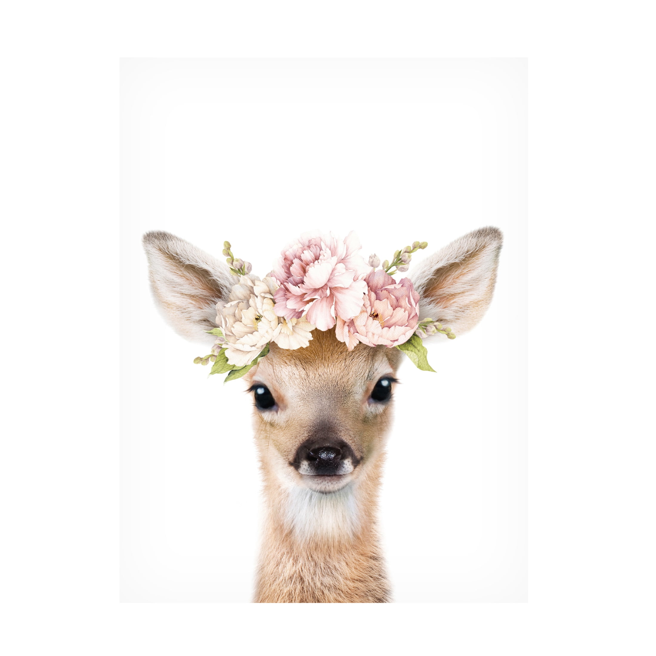 Trademark Fine Art Lola Peacock  Floral Baby Deer Canvas Wall Art