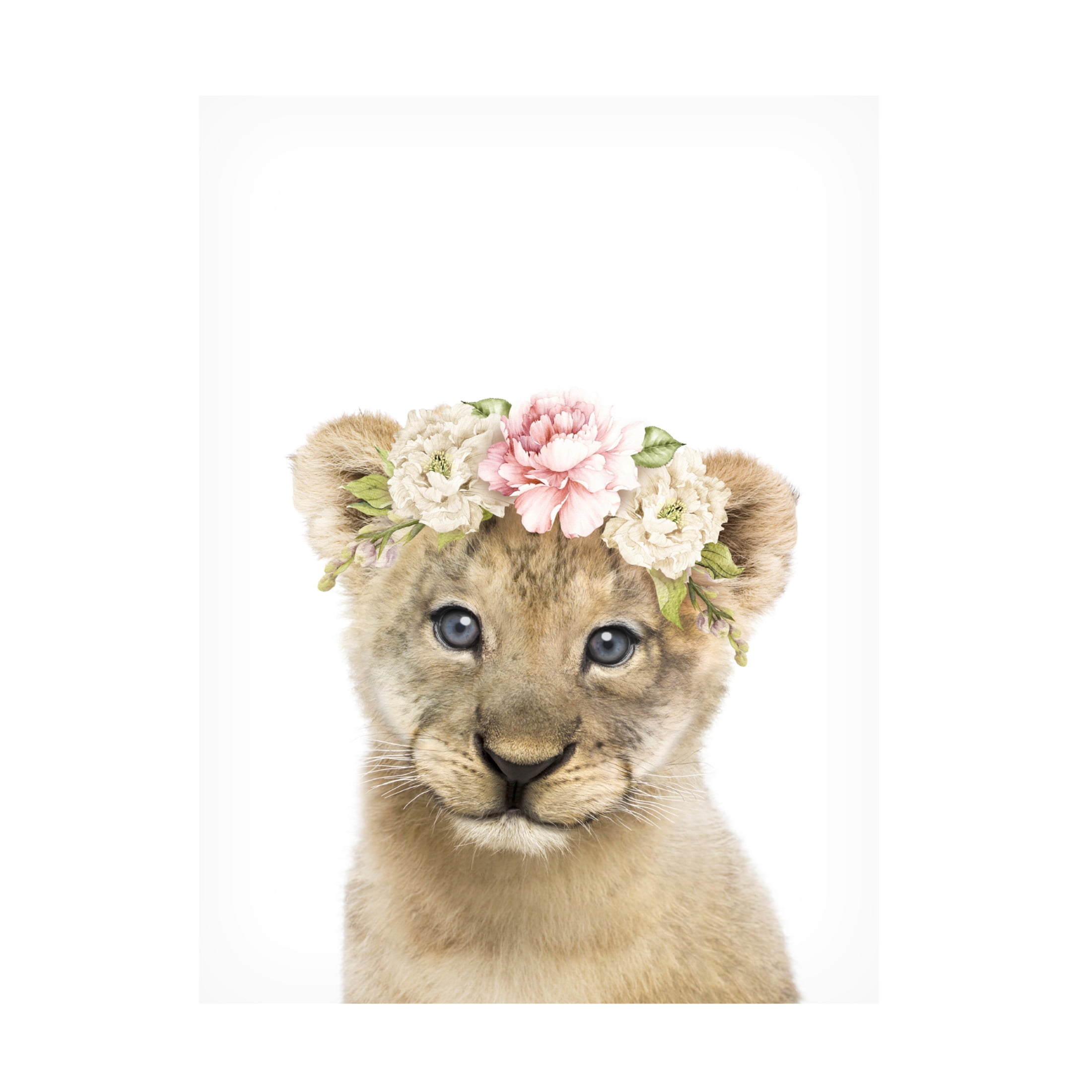 Trademark Fine Art Lola Peacock  Floral Baby Lion Canvas Wall Art