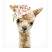 Trademark Fine Art Lola Peacock Floral Baby Llama Canvas Wall Art