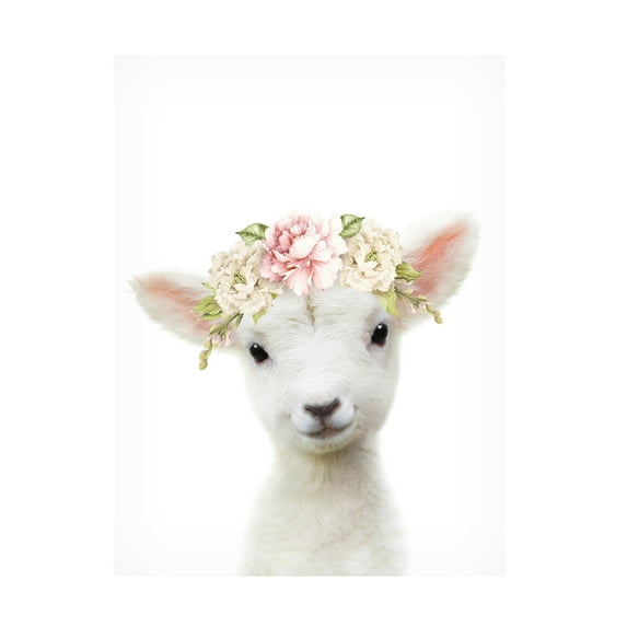 Trademark Fine Art Lola Peacock Floral Baby Sheep Canvas Wall Art