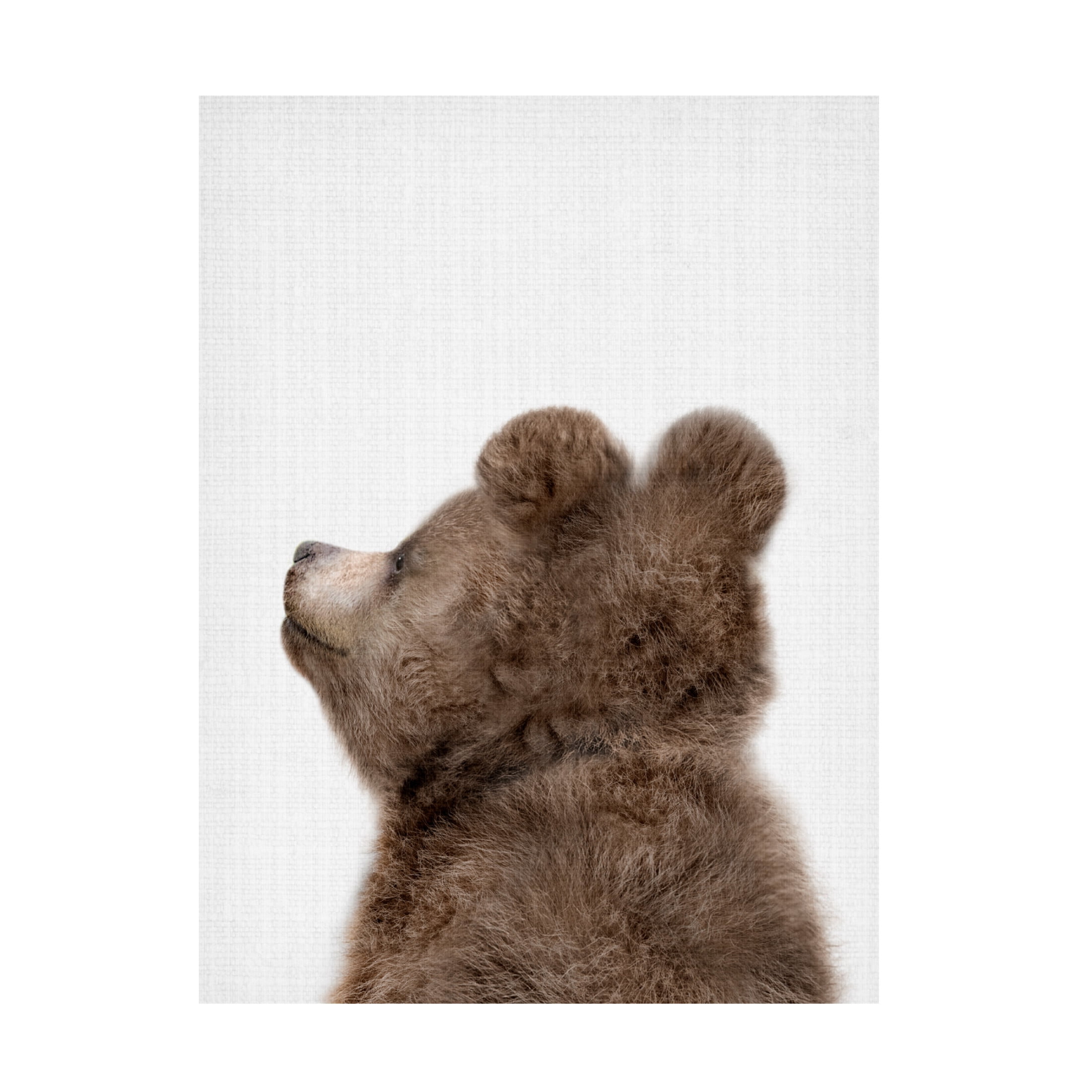 Trademark Fine Art Lola Peacock Peekaboo Baby Bear Back Canvas Wall Art