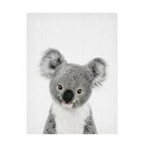 Trademark Fine Art Lola Peacock Peekaboo Baby Koala Canvas Wall Art