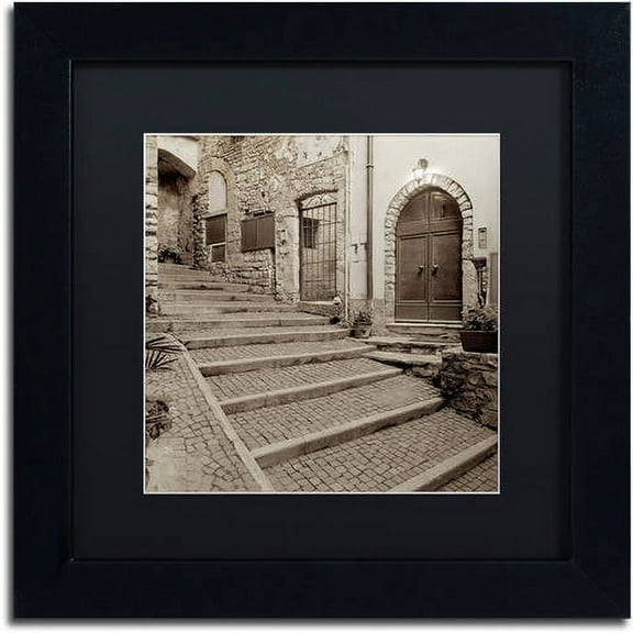 Trademark Fine Art "Lombardy I" Canvas Art by Alan Blaustein, Black Matte, Black Frame