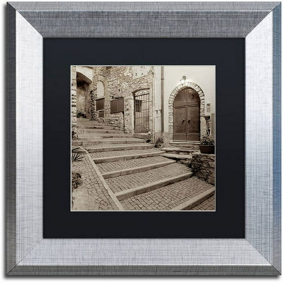 Trademark Fine Art "Lombardy I" Canvas Art by Alan Blaustein, Black Matte, Silver Frame