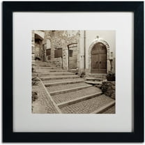 Trademark Fine Art "Lombardy I" Canvas Art by Alan Blaustein, White Matte, Black Frame