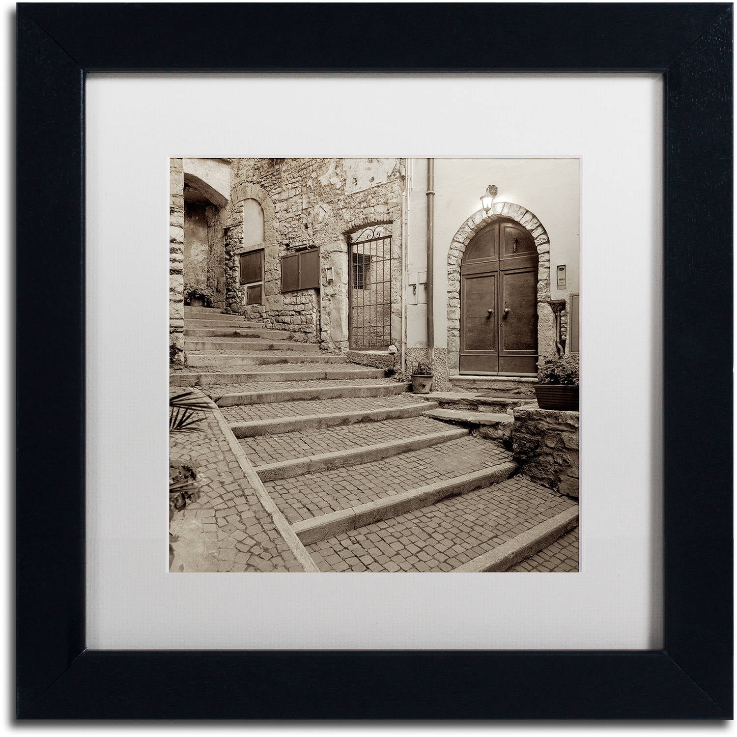Trademark Fine Art "Lombardy I" Canvas Art by Alan Blaustein, White Matte, Black Frame