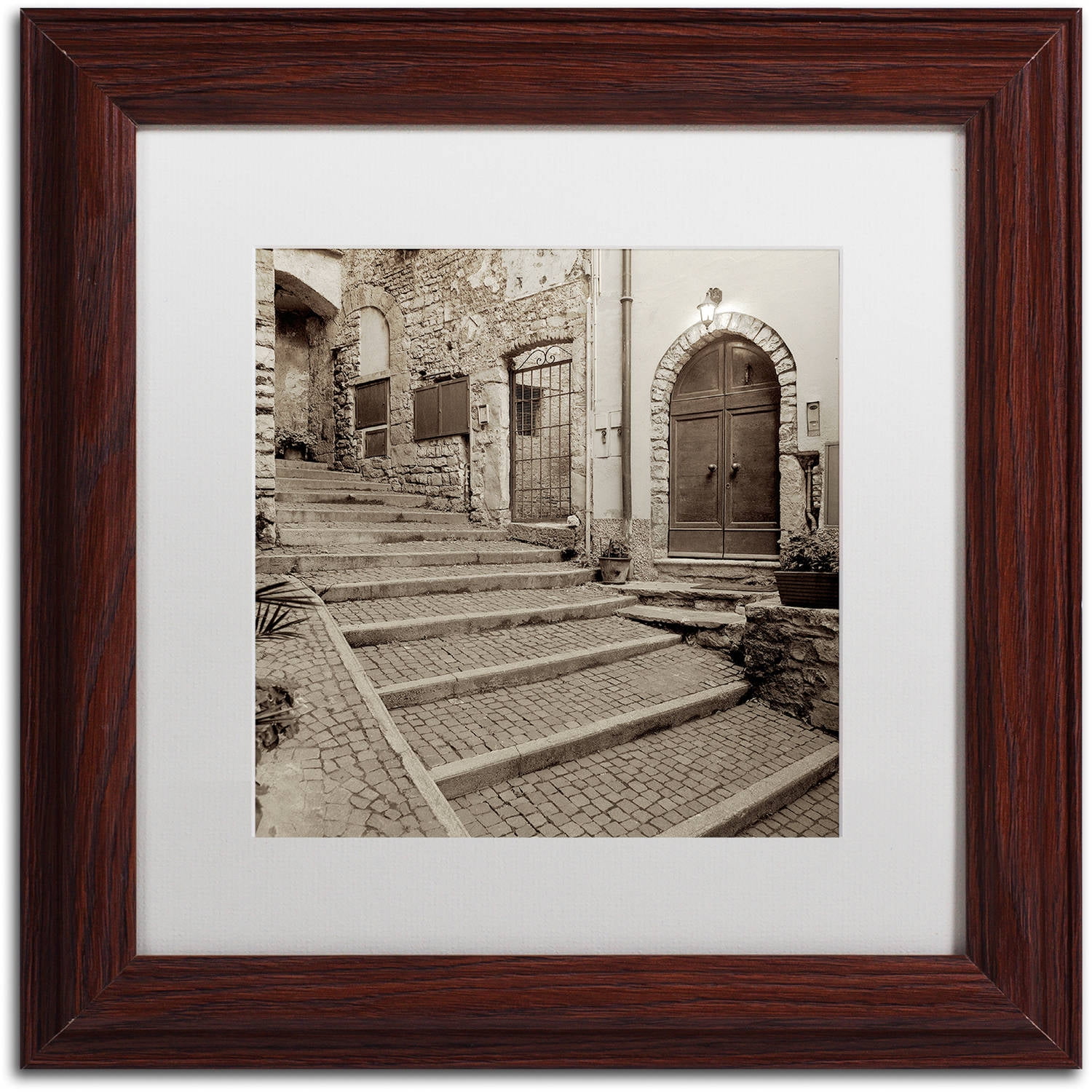 Trademark Fine Art "Lombardy I" Canvas Art by Alan Blaustein, White Matte, Wood Frame