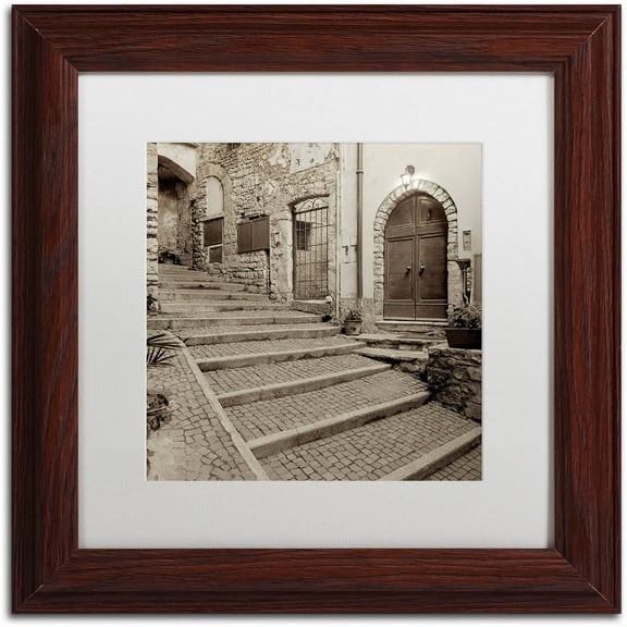 Trademark Fine Art "Lombardy I" Canvas Art by Alan Blaustein, White Matte, Wood Frame