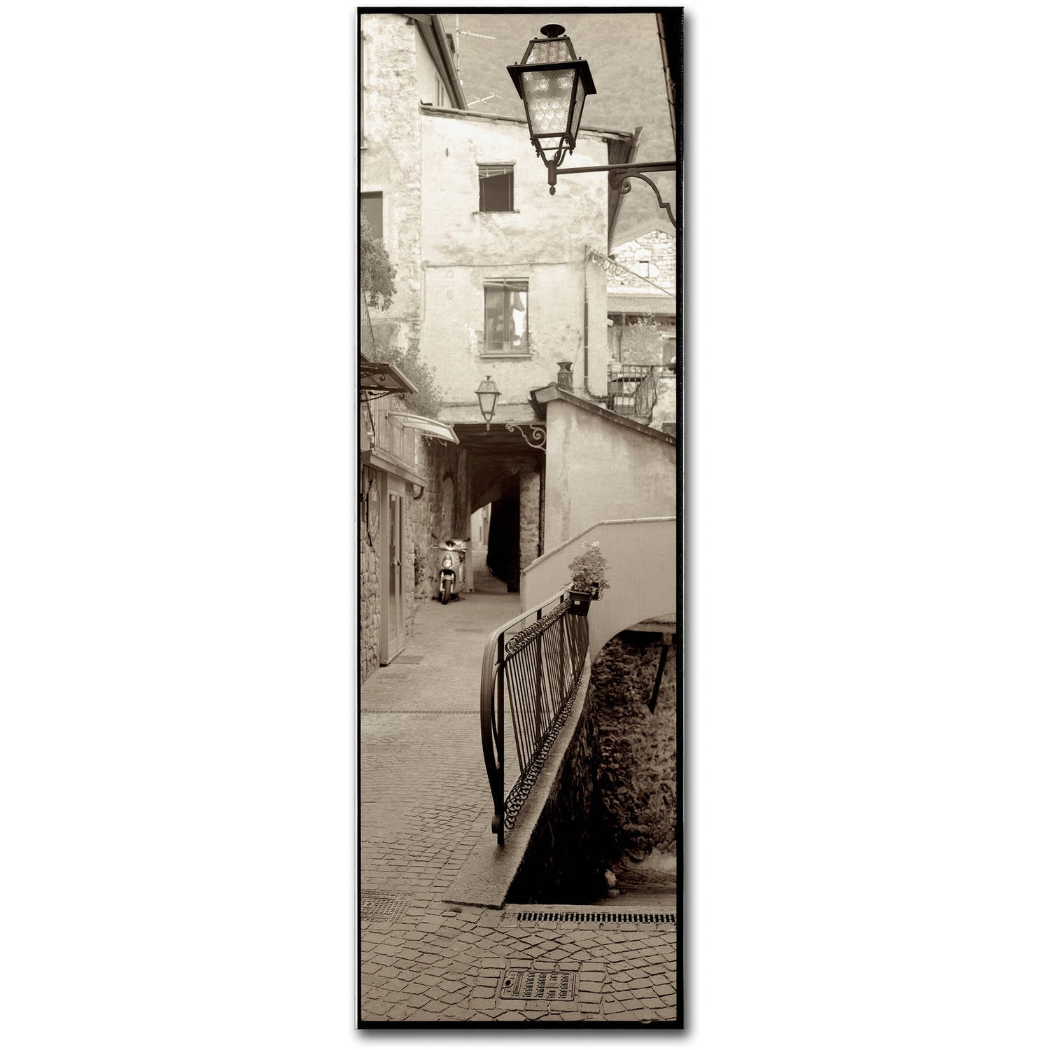 Trademark Fine Art "Lombardy III" Canvas Art by Alan Blaustein