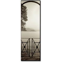 Trademark Fine Art "Lombardy VI" Canvas Art by Alan Blaustein