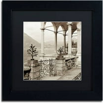 Trademark Fine Art "Lombardy VII" Canvas Art by Alan Blaustein, Black Matte, Black Frame